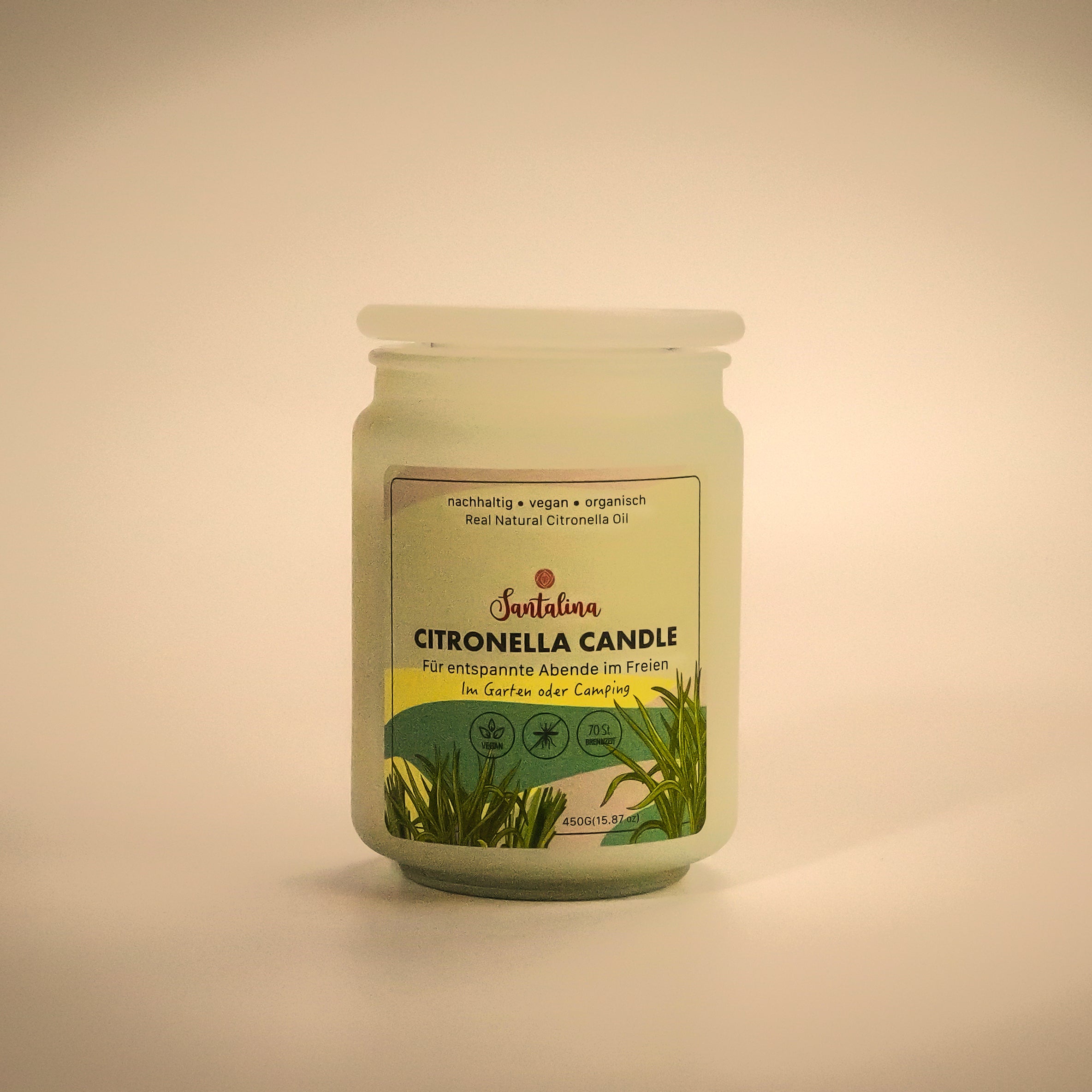 Santalina Citronella