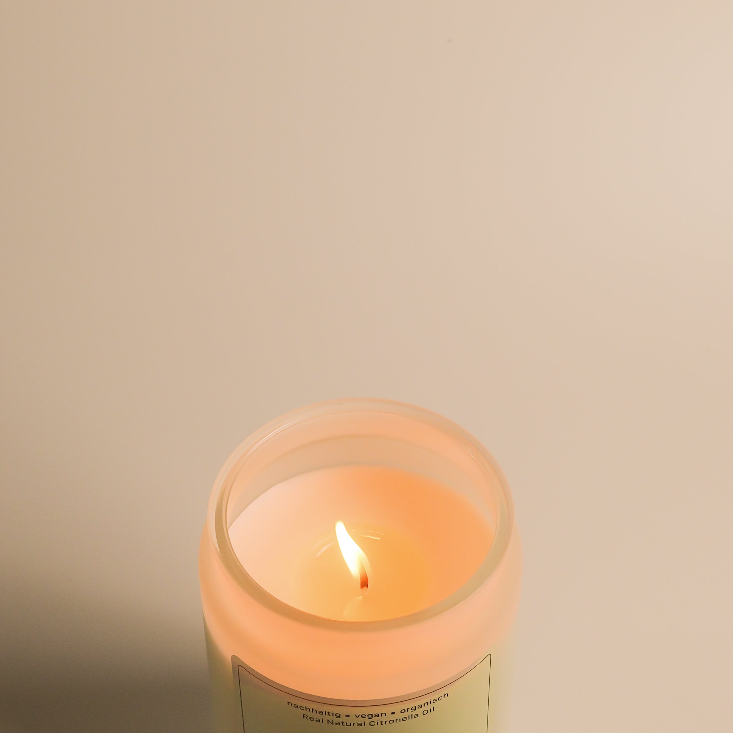 Santalina Citronella