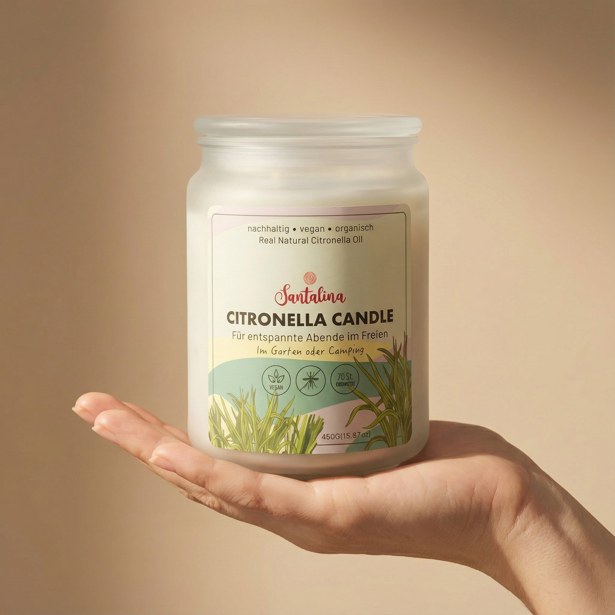 Santalina Citronella