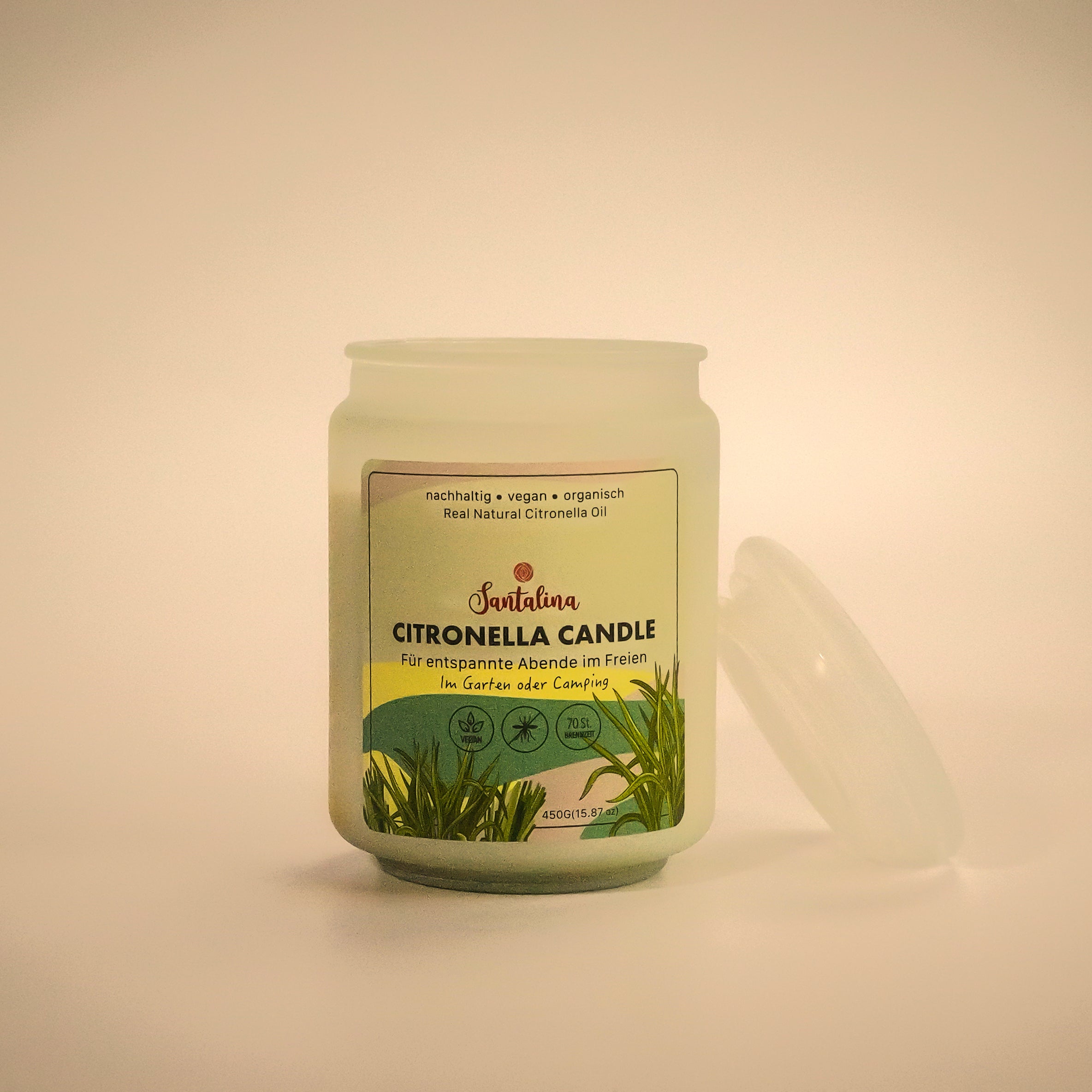 Santalina Citronella