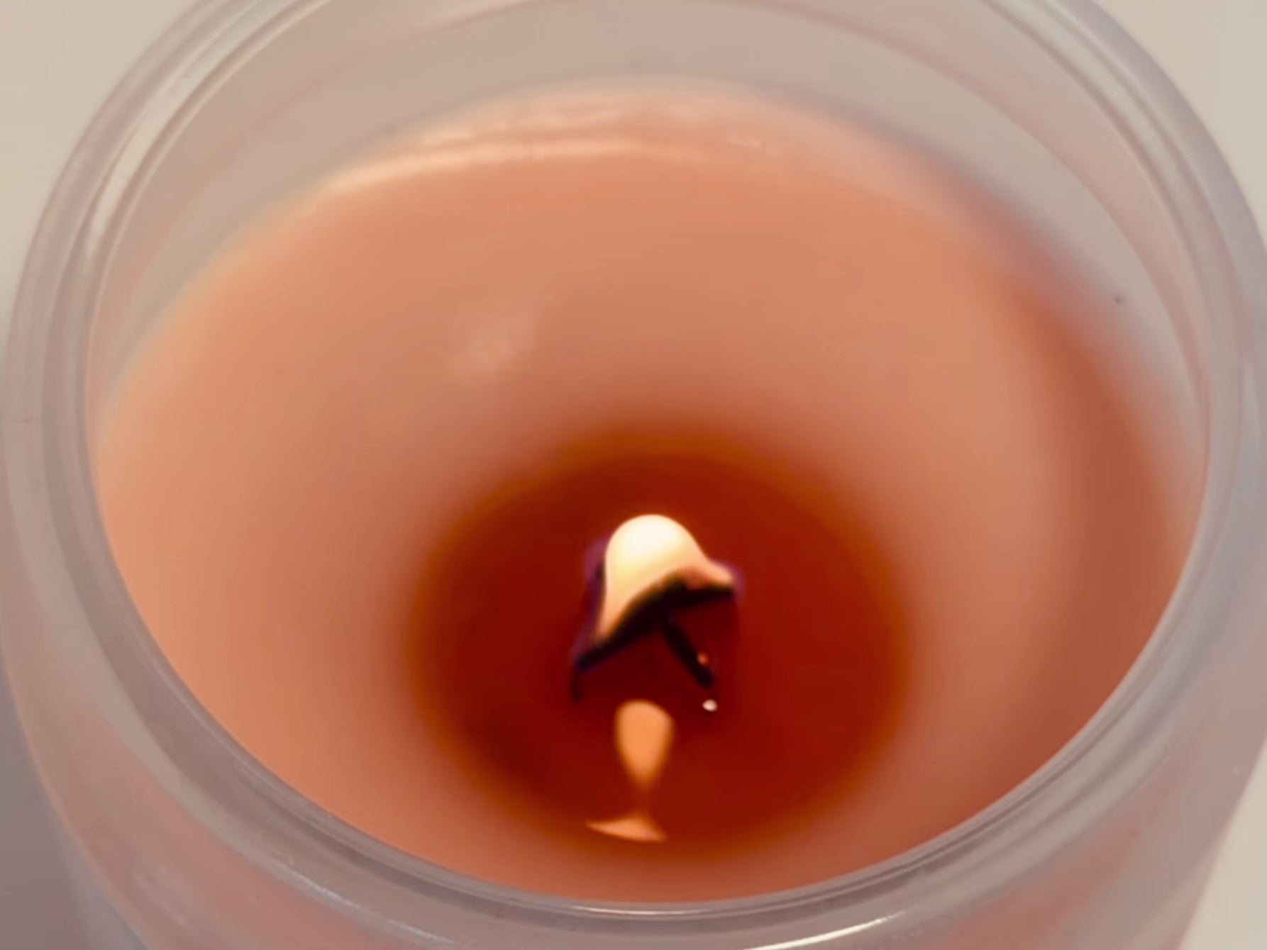 Santalina Sweet Candy Berry