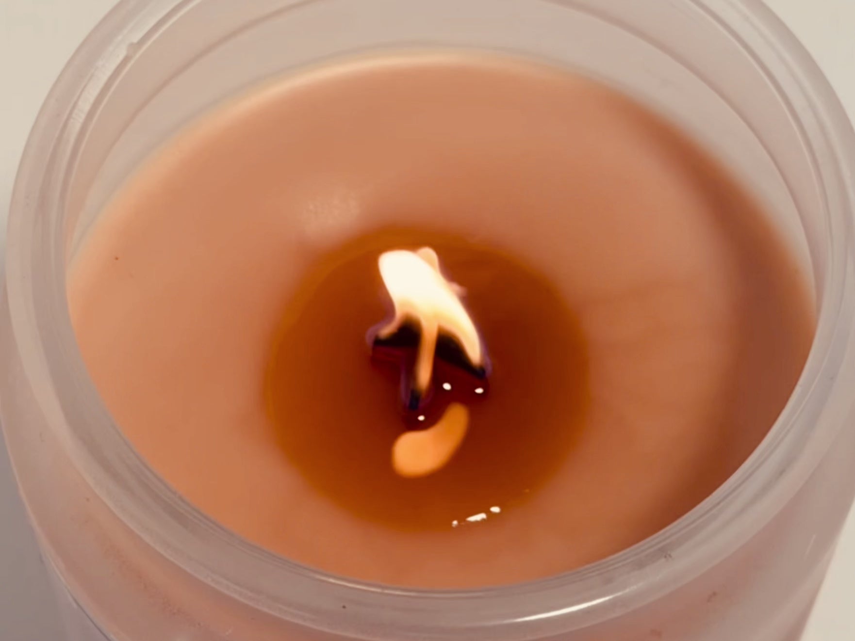 Santalina Japanese Cherry Blossom