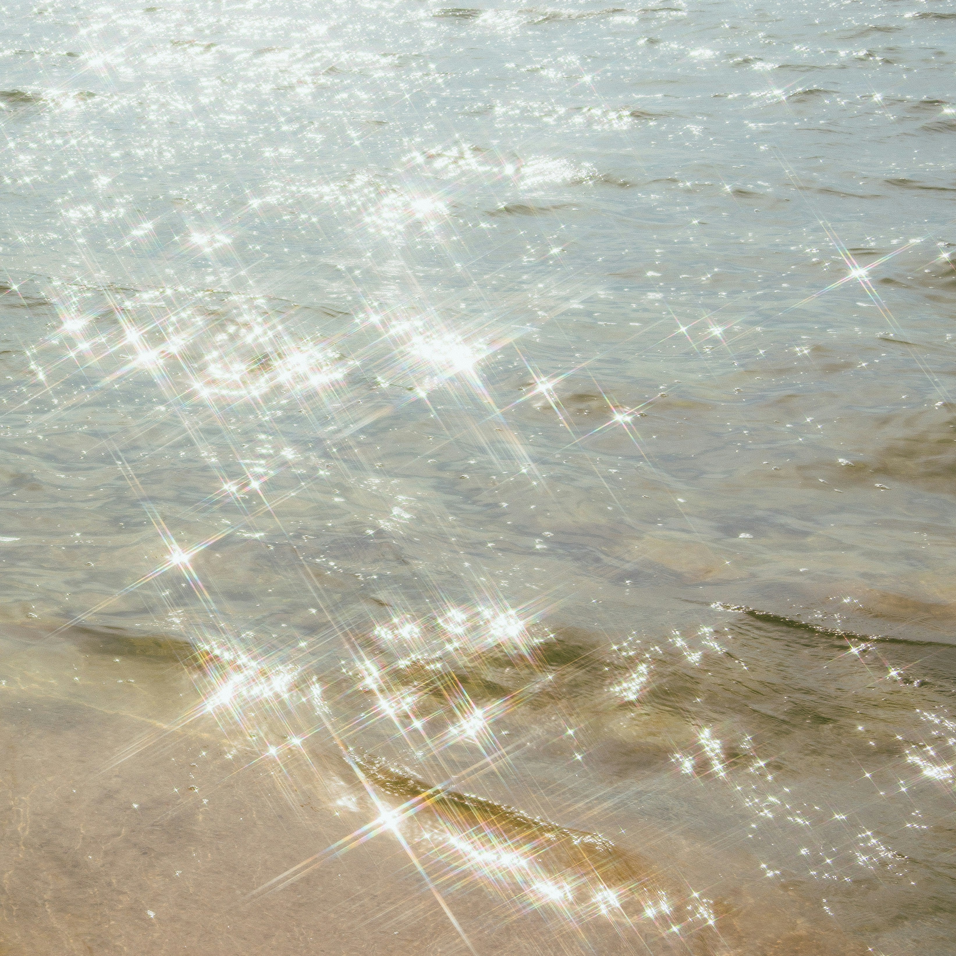 Santalina Duftinspiration: Sonnenlicht auf glitzerndem Wasser für frische Wohlfühlmomente