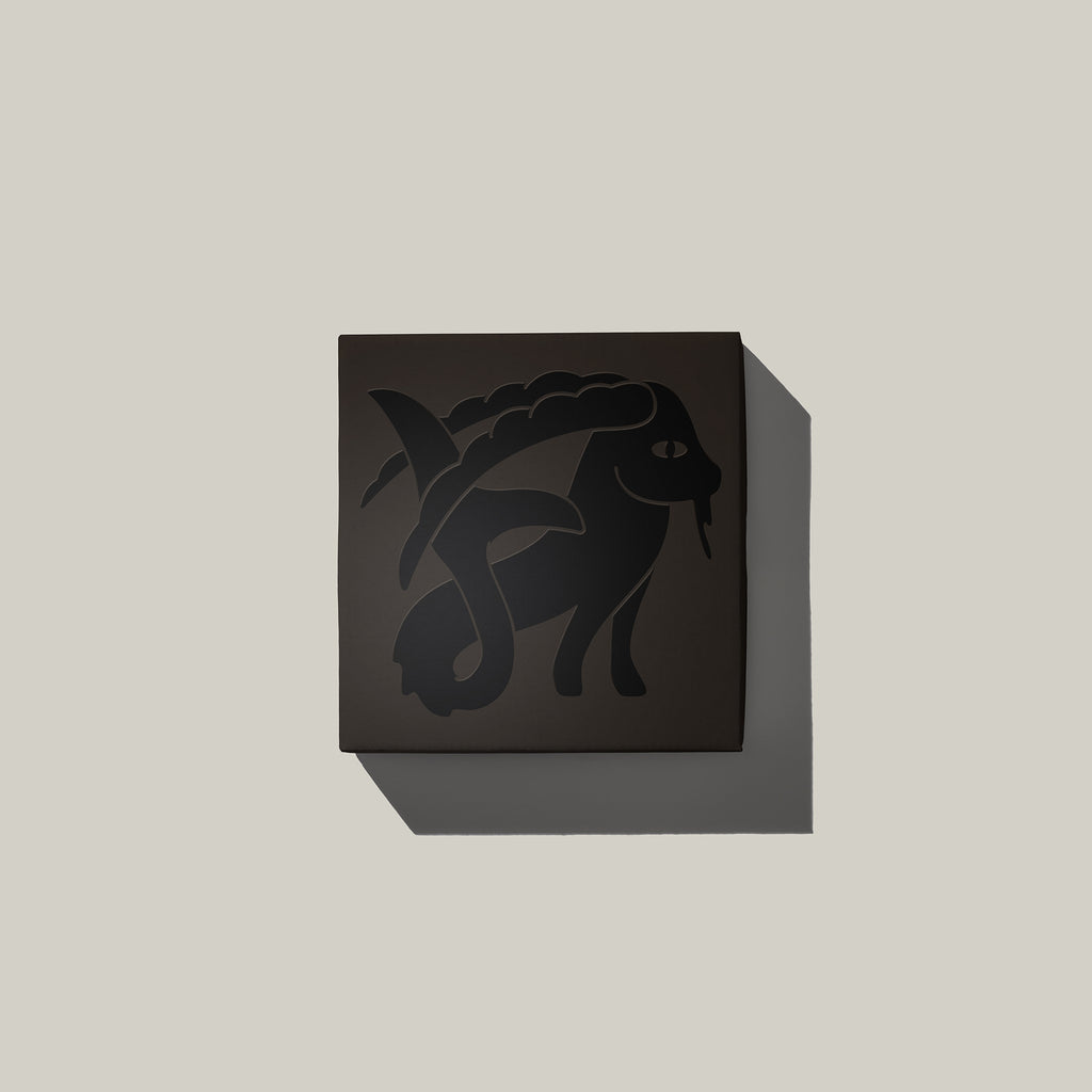 Matchbox „Capricorn“