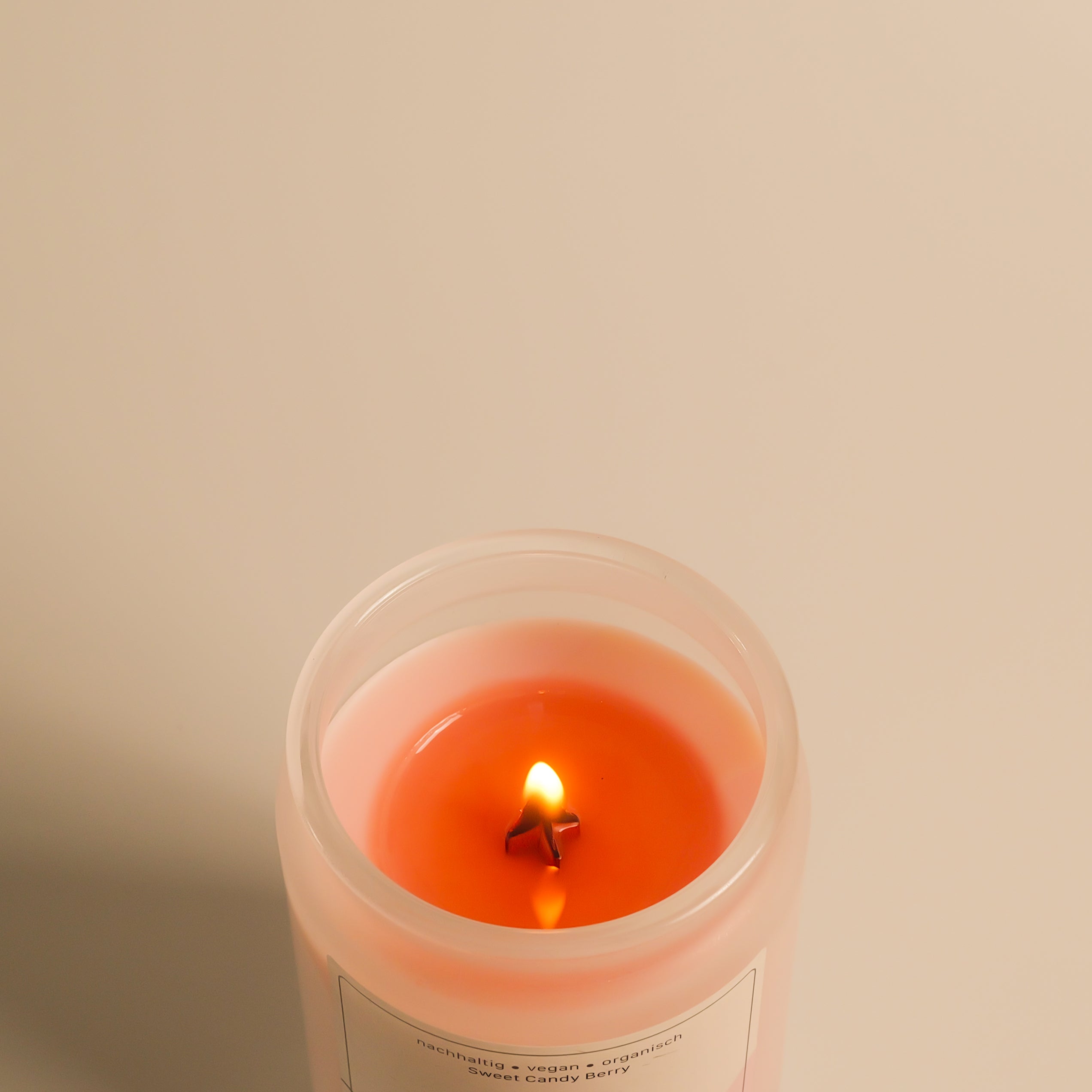 Santalina Sweet Candy Berry